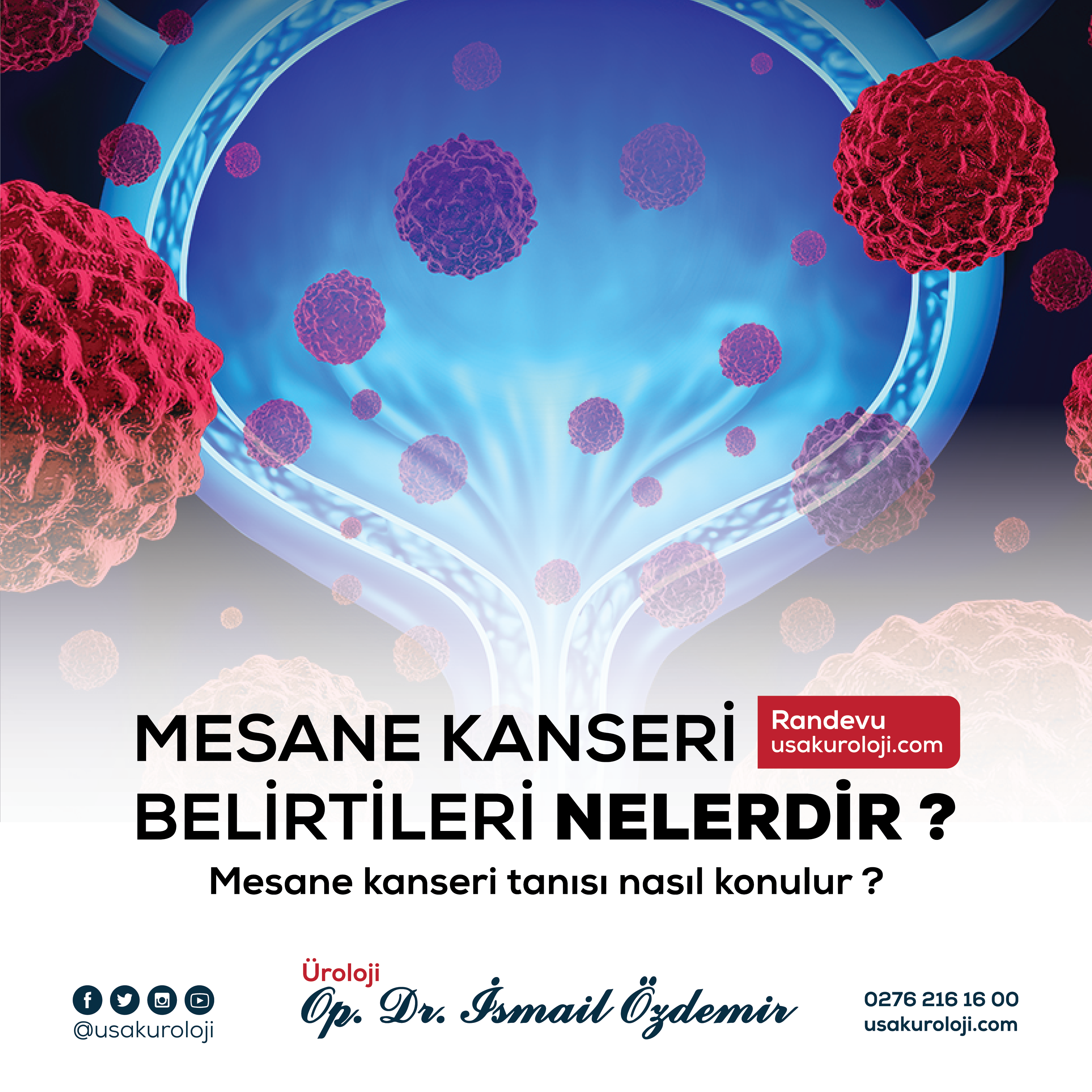 Dr. İsmail Özdemir görsel 10