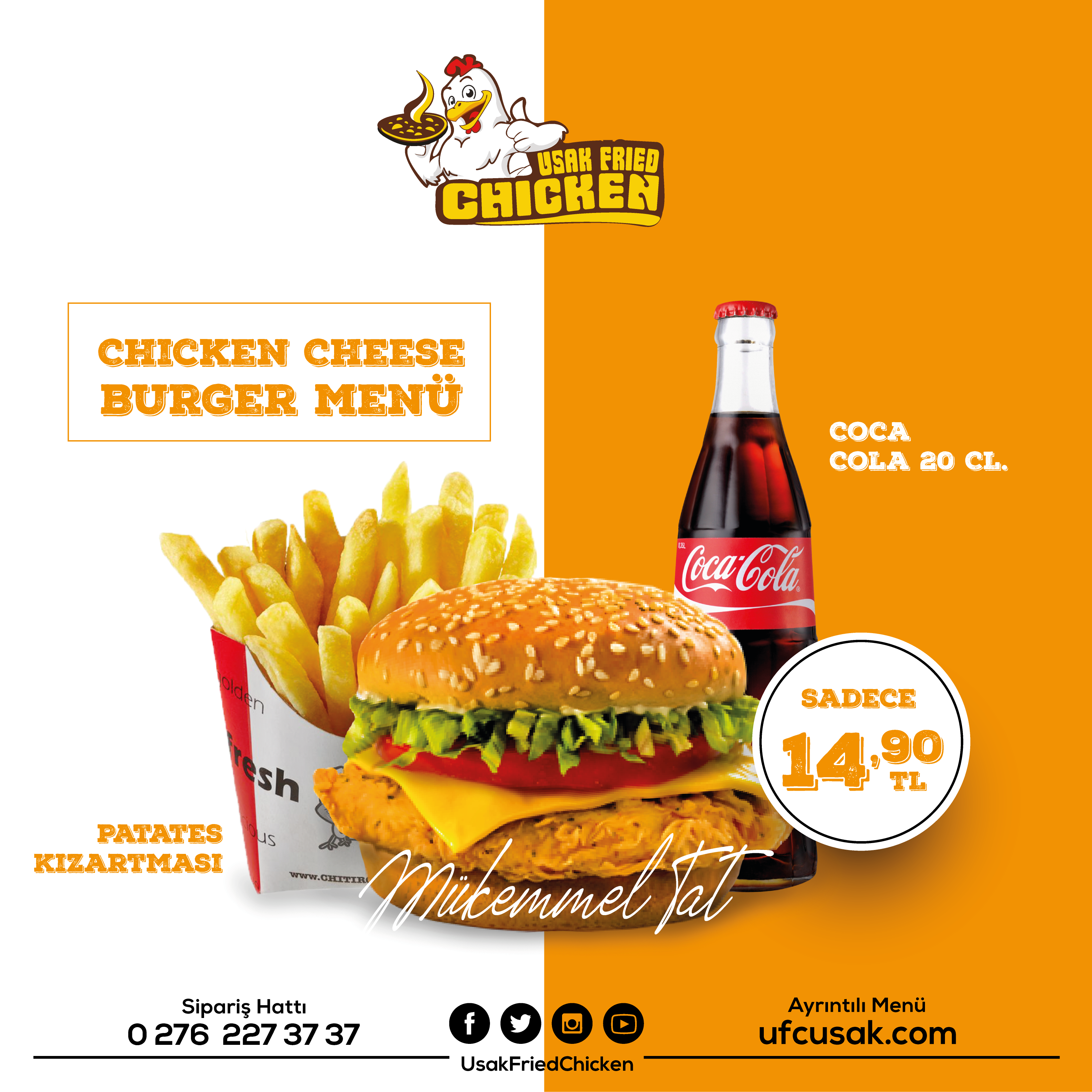 Fried Chicken görsel 21