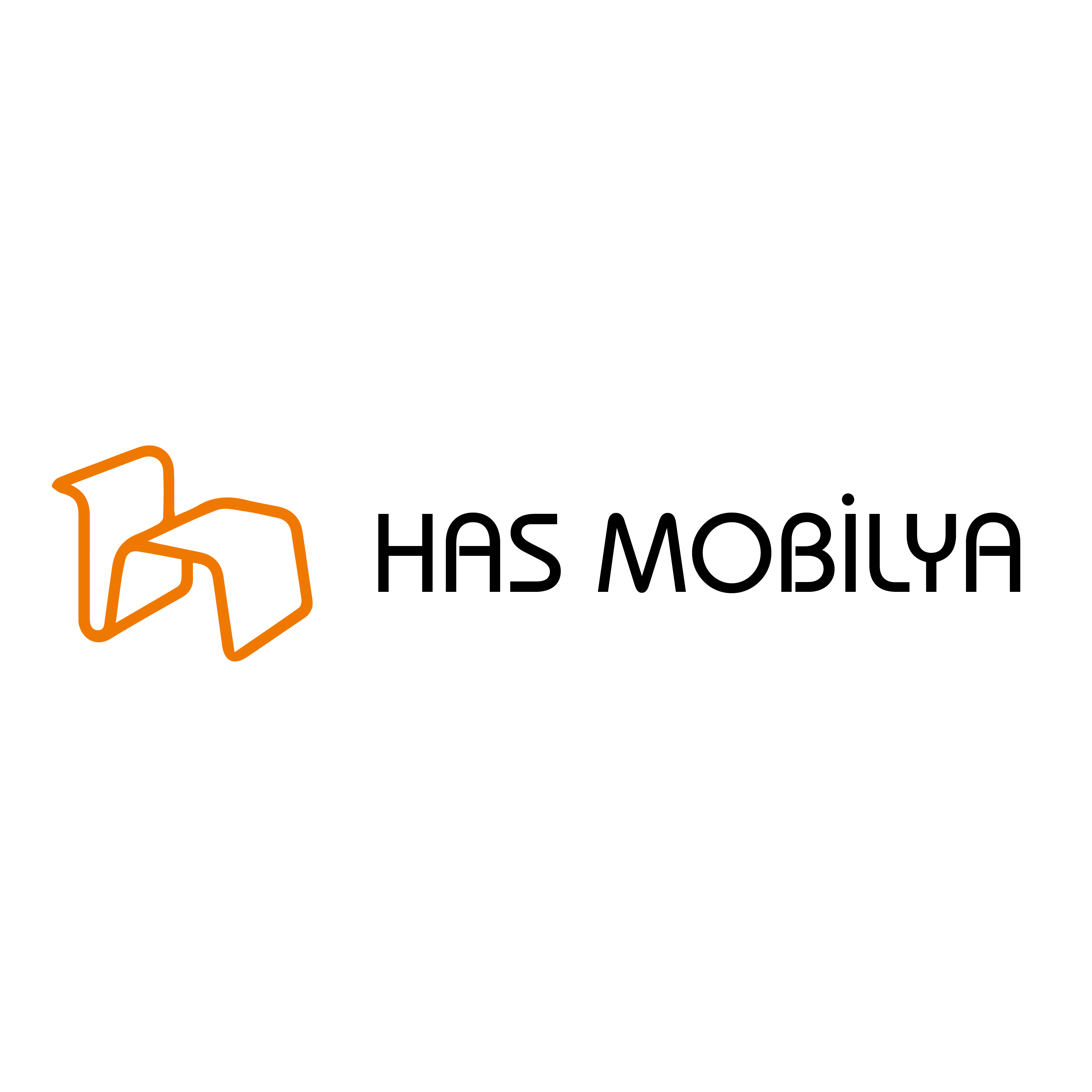 Has Mobilya Logo Tasarımı