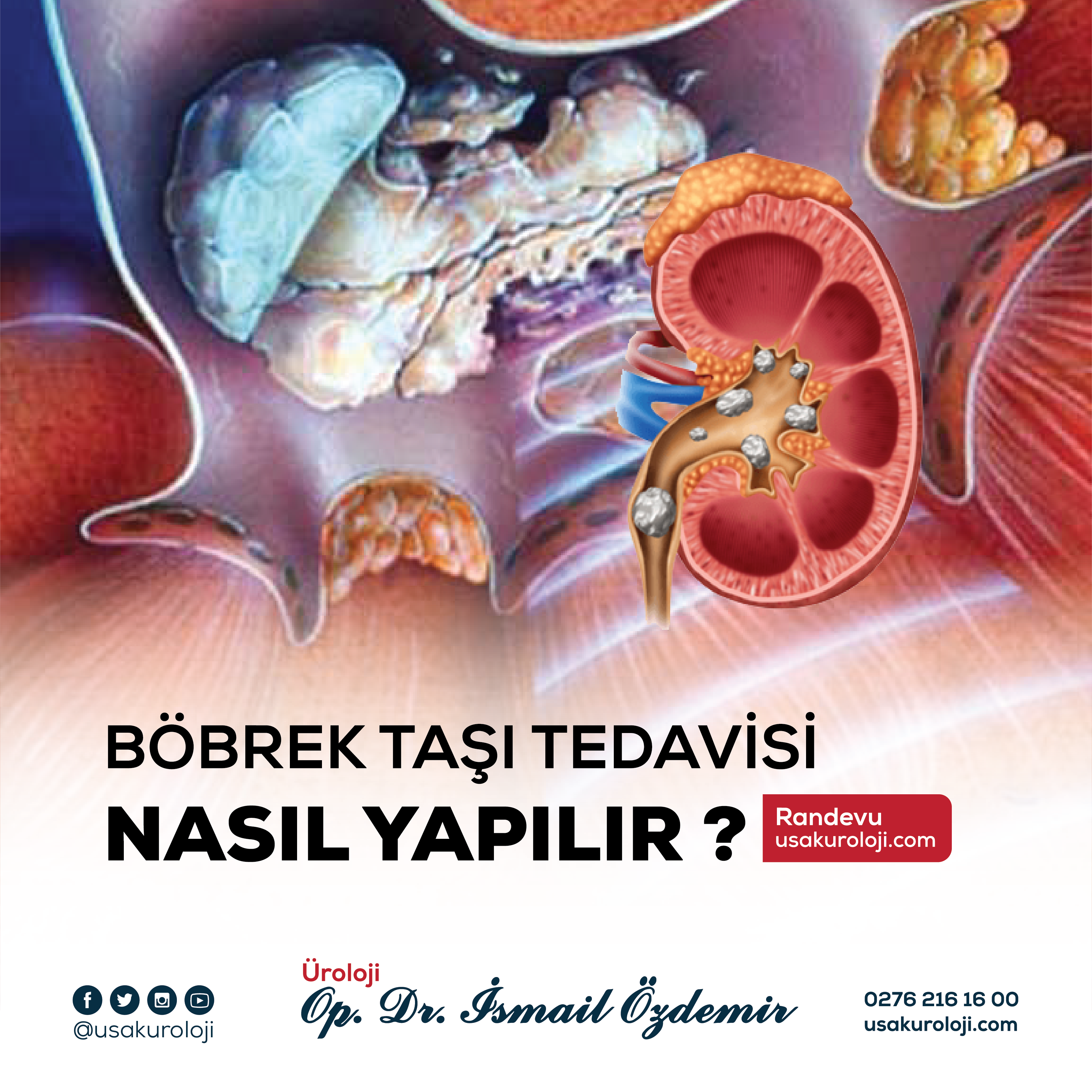 Dr. İsmail Özdemir görsel 3