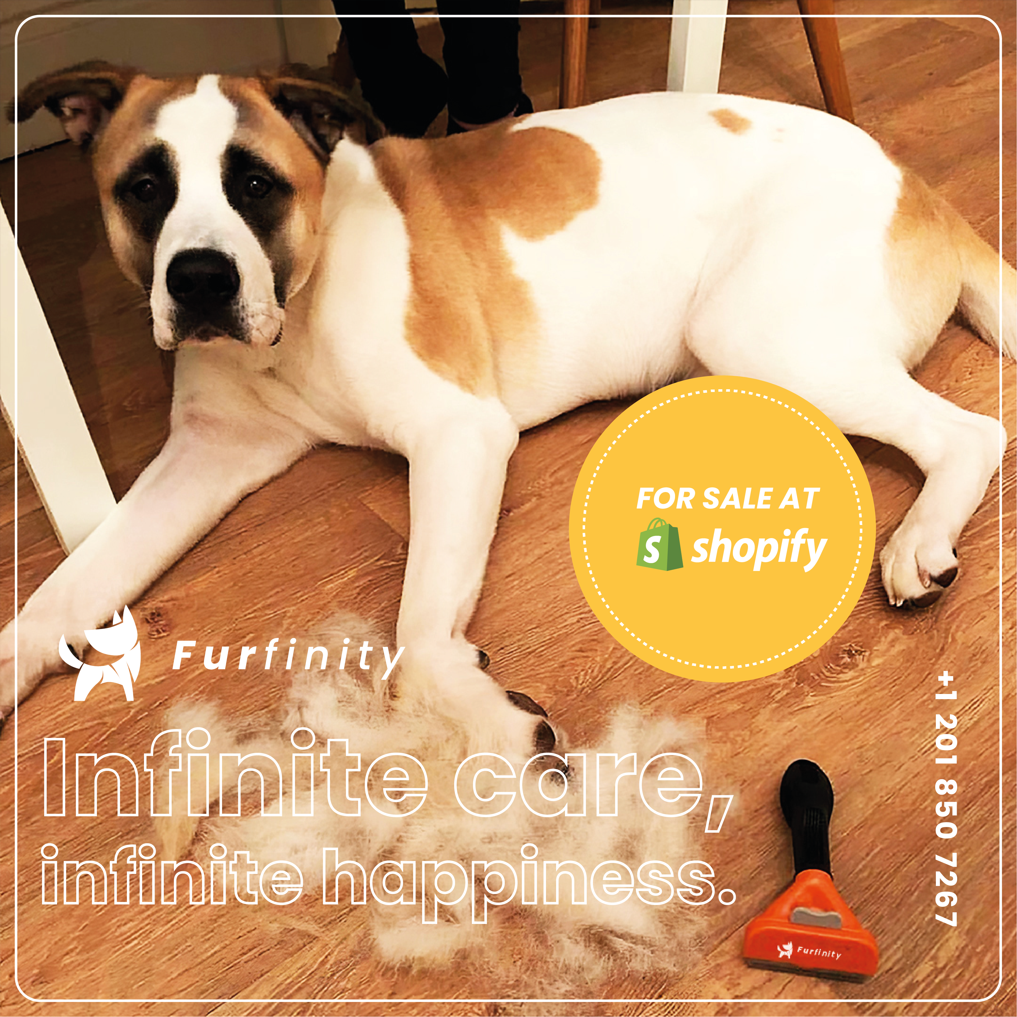 Furfinity görsel 6