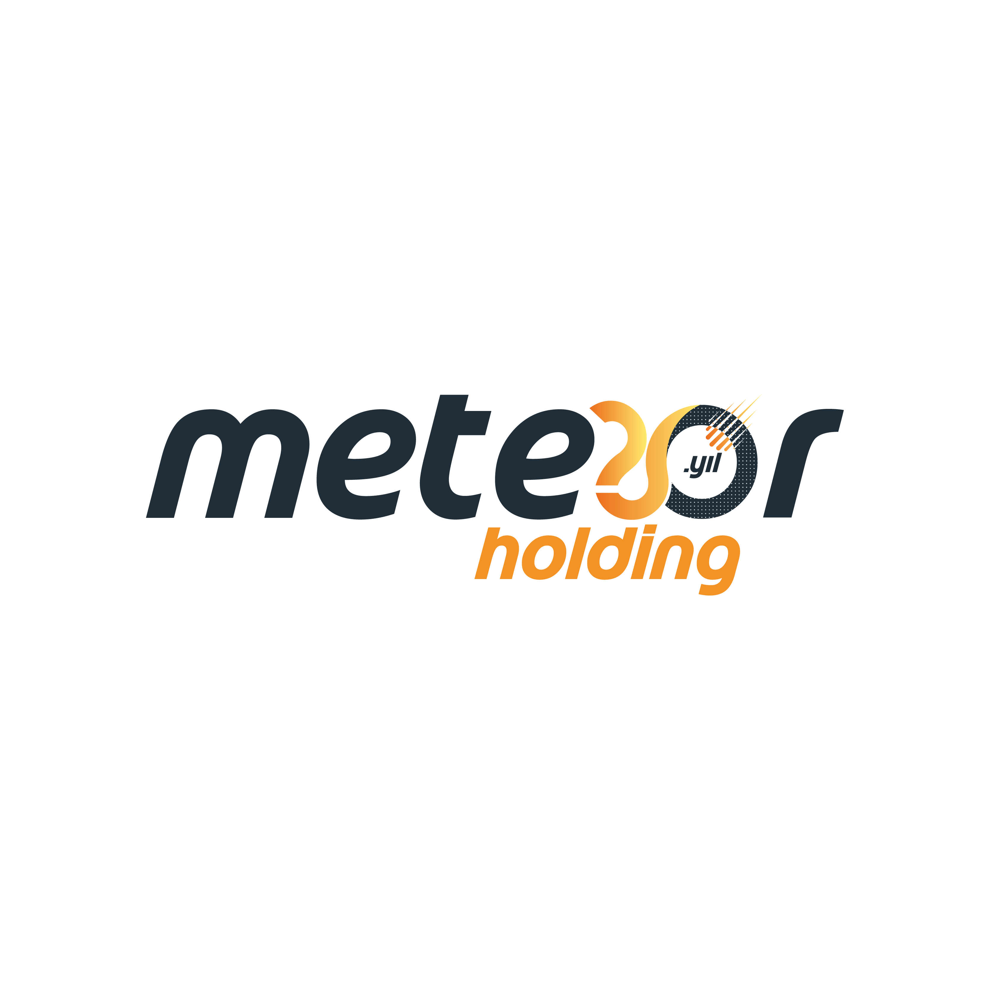 Meteor Holding 20.Yıl Logosu