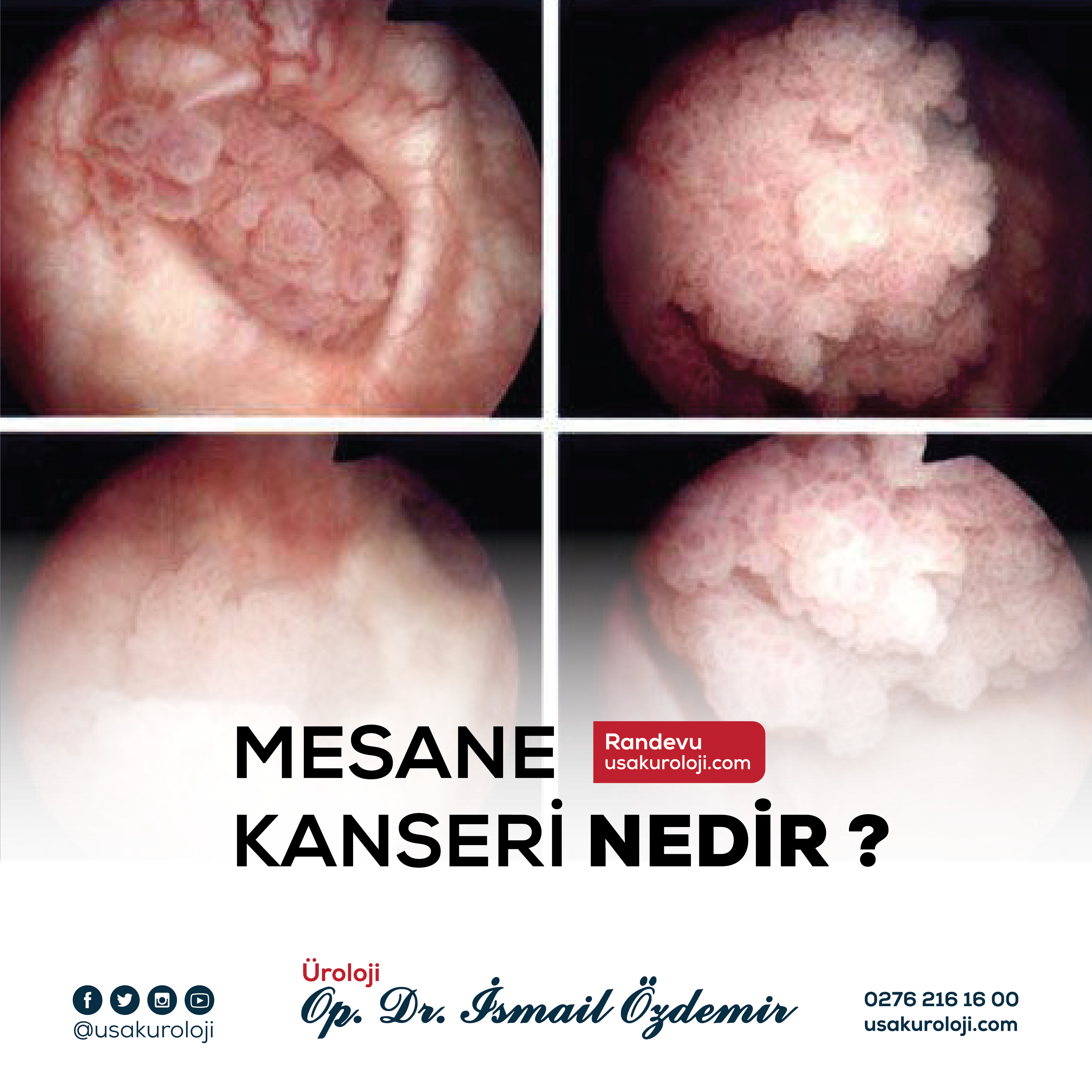 Dr. İsmail Özdemir görsel 8